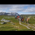 Excursão Noruega com Caminho Verde 8 dias / 7 noites 41