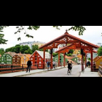 Excursão Noruega com Caminho Verde 8 dias / 7 noites 11