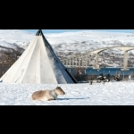 Tromsö Arctic Northern Lights In   - Norway 5 days/4 nights 23