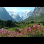 Navegação de iate de luxo nos fiordes noruegueses, 8 dias/7 noites 31