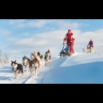 Aurora Borealis na Finlândia - Rovaniemi 7 dias/6 noites 21