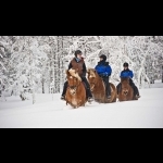 Aurora Boreal na Finlândia - Kakslauttanen 3 dias/2 noites 17