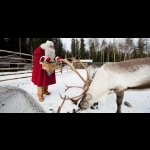 Finnish Lapland with Helsinki and Stockholm 11 days/10 nights 33