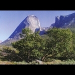 Aventura de verão da Gronelândia 5 dias/4 noites 30