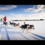 EXCLUSIVE FINLAND 7 days/6 nights 32