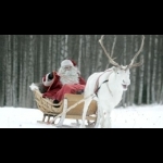 Finnish Lapland with Helsinki and Stockholm 11 days/10 nights 0